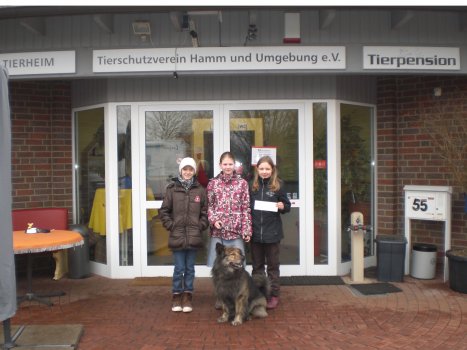 Tierheim.jpg